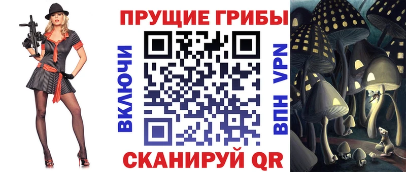 Галлюциногенные грибы Cubensis  закладка  Мурманск 