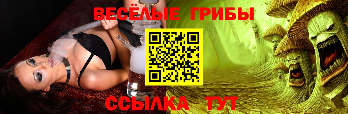 Псилоцибиновые грибы Psilocybine cubensis Мурманск